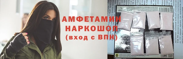 шишки Иннополис
