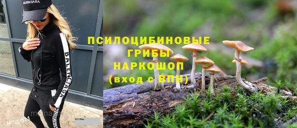 хмурый Инсар