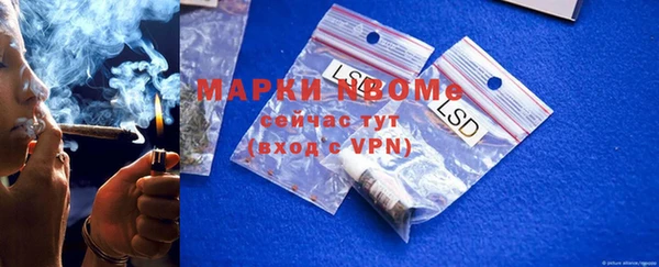шишки Иннополис