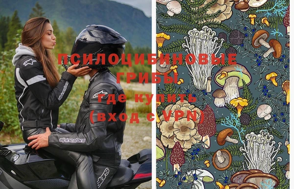 ешки Каменск-Шахтинский