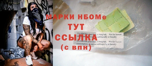 хмурый Инсар