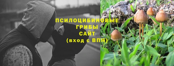 ешки Каменск-Шахтинский
