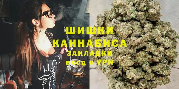 шишки Иннополис