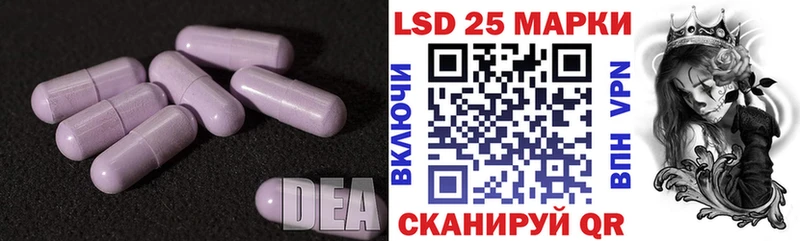 Купить закладки  Новоржев  Лсд 25 экстази кислота 