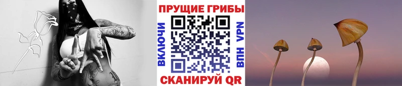 Купить  Новоржев  Псилоцибиновые грибы ЛСД 