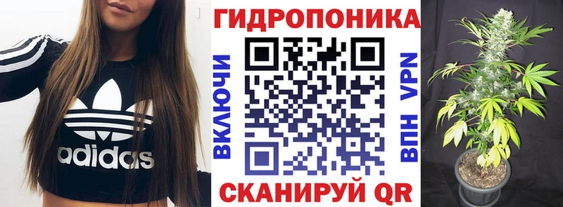 Купить  Новоржев  Конопля OG Kush 